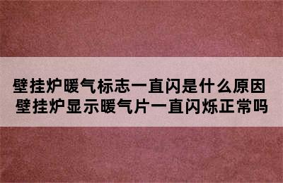 壁挂炉暖气标志一直闪是什么原因 壁挂炉显示暖气片一直闪烁正常吗